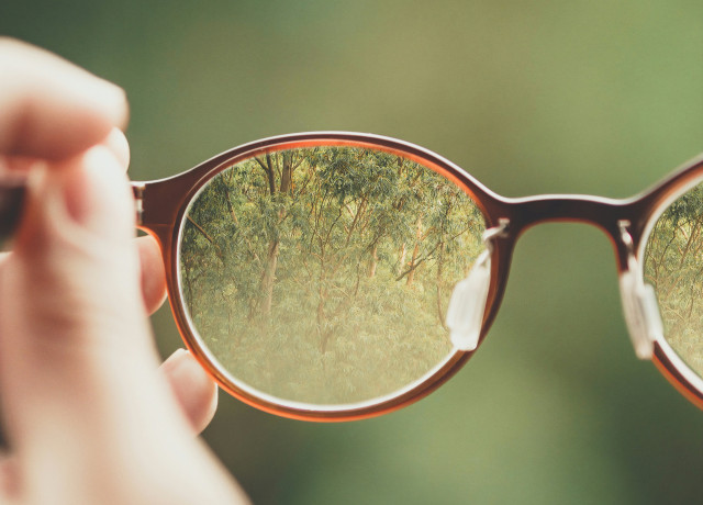 Une image illustrant la transparence avec des lunettes montrant clairement de la végétation sur un fond vert flou